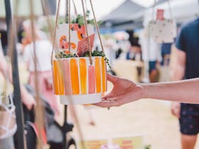 Coorparoo Square Markets