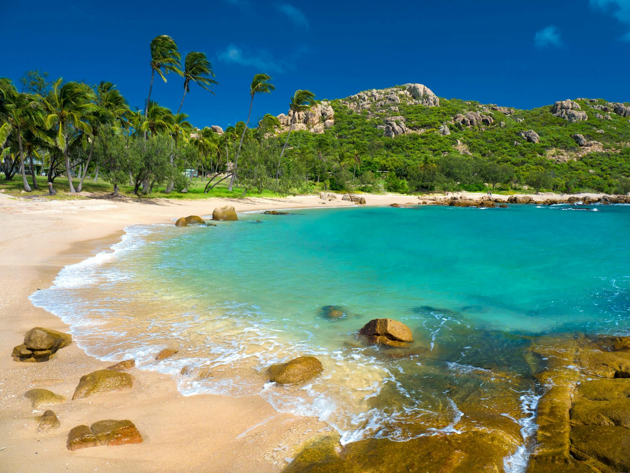 Sandy beach, blue water, palm trees and granite headlands Sandy beach, blue water, palm trees and granite headlands