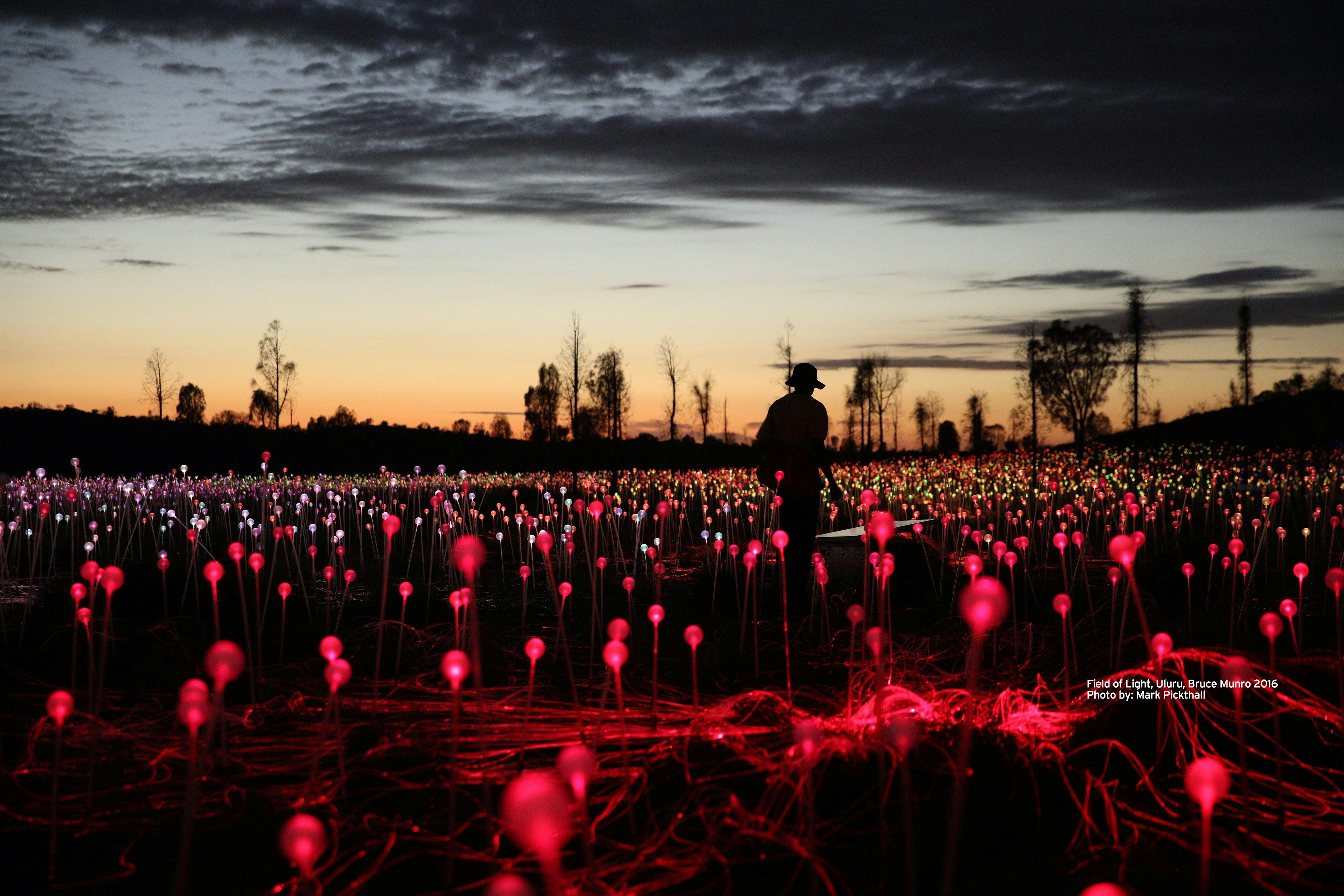 Field of Light Uluru