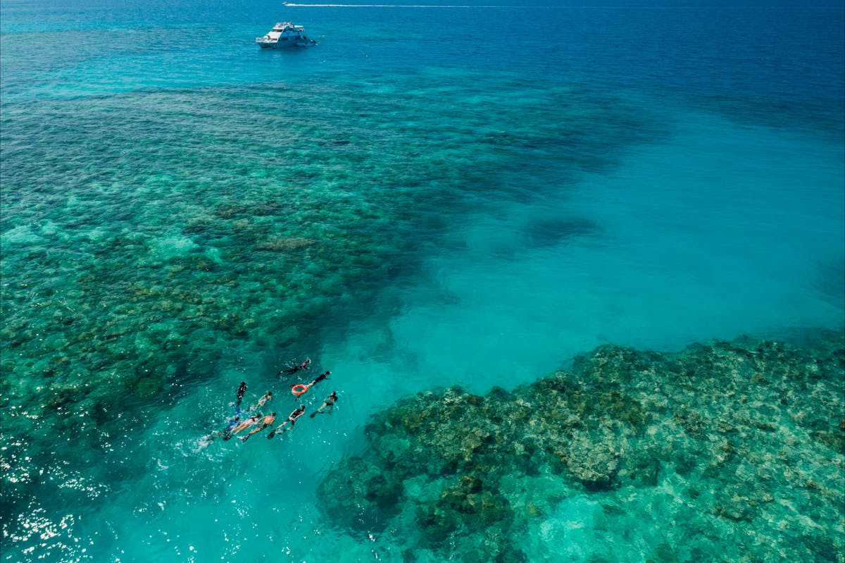 Ocean Freedom Tour - Guided Snorkel Tour on the Great Barrier Reef Cairns with Master Reef Guide