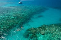 Ocean Freedom Tour - Guided Snorkel Tour on the Great Barrier Reef Cairns with Master Reef Guide