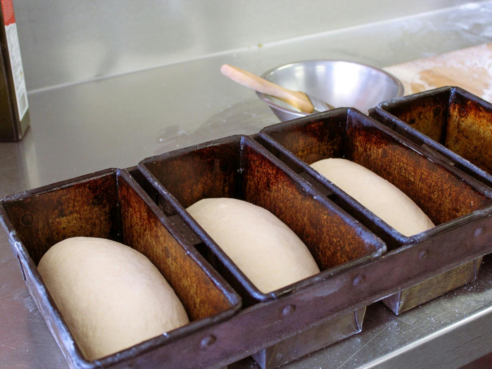 Sourdough loaves lined up ready for baking