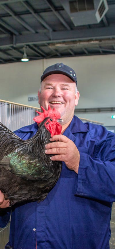 exhibitor with his chicken