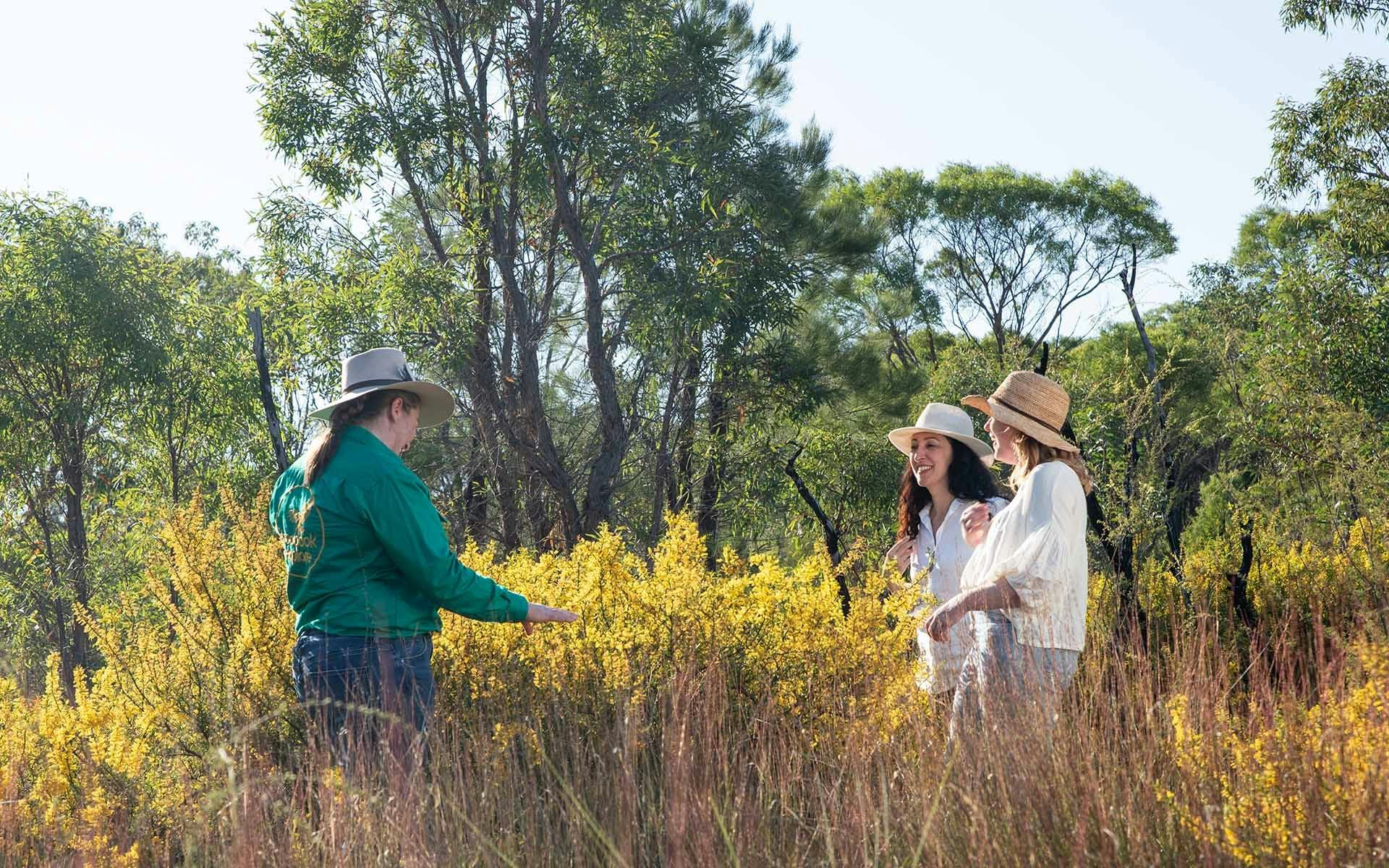 A group of guests studying a large wildflower bush