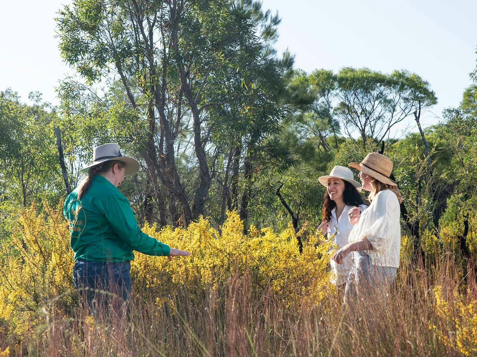 A group of guests studying a large wildflower bush A group of guests studying a large wildflower bush
