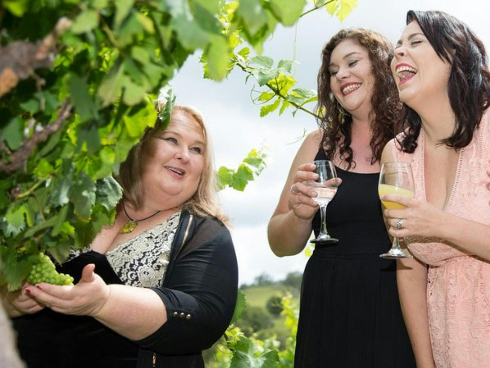 Mountain Wine Tours - One Hump Wine Tour - Discover the hidden gems