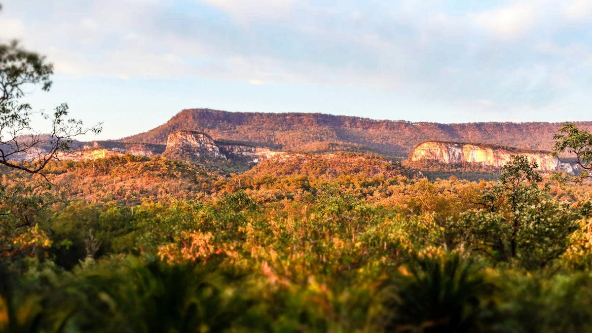View overlooking Carnarvon Gorge at sunrise.