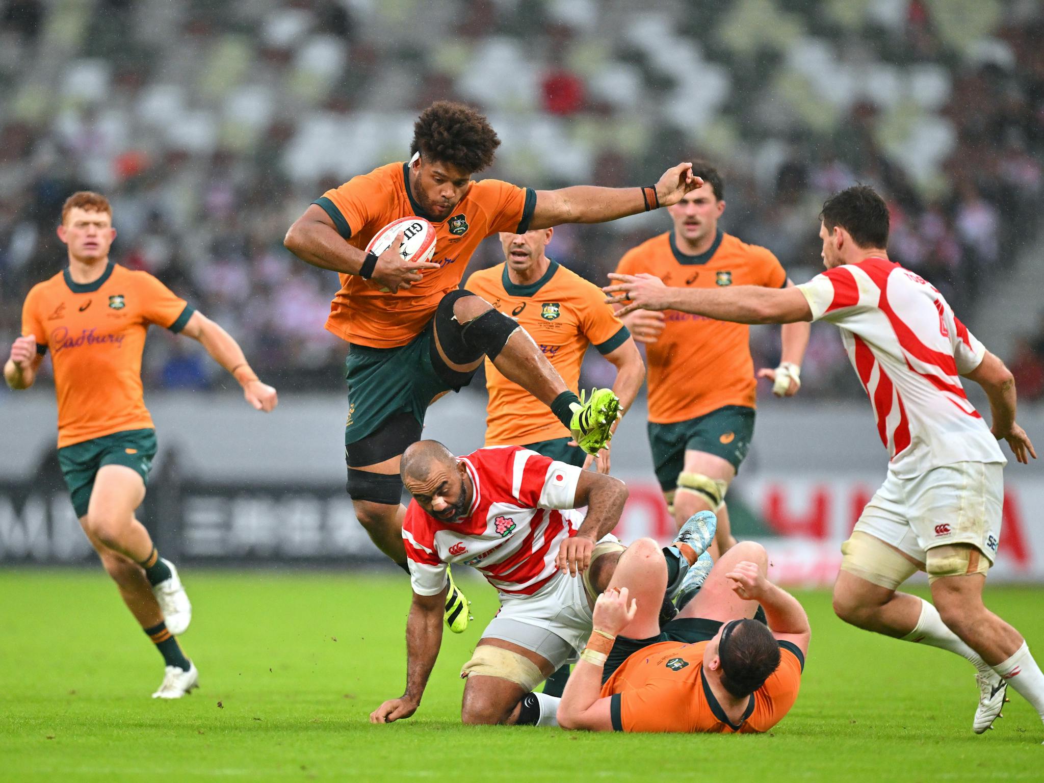 Wallabies v Japan Wallabies v Japan