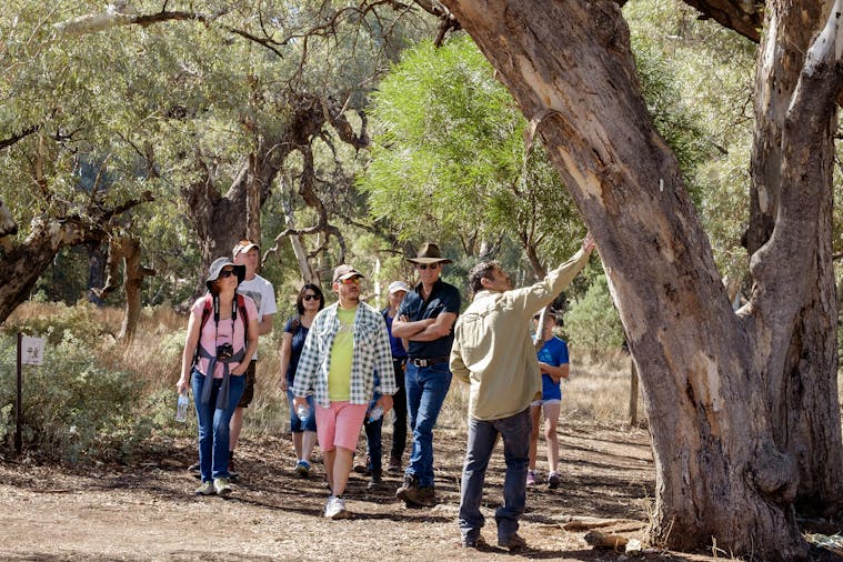 Yura Udnyu Aboriginal Cultural Walk
