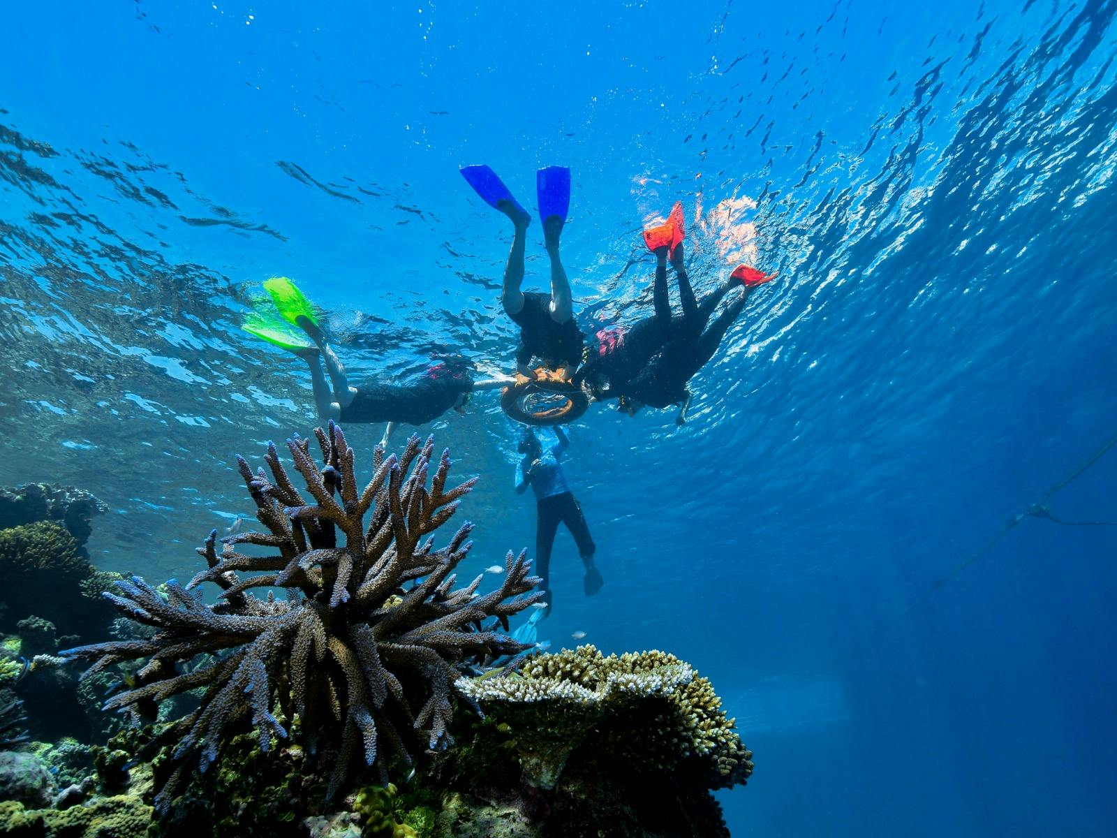 50% Discount on Underwater Activities