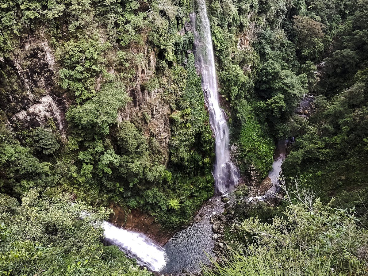 self guided hikes in Lamington National PArk