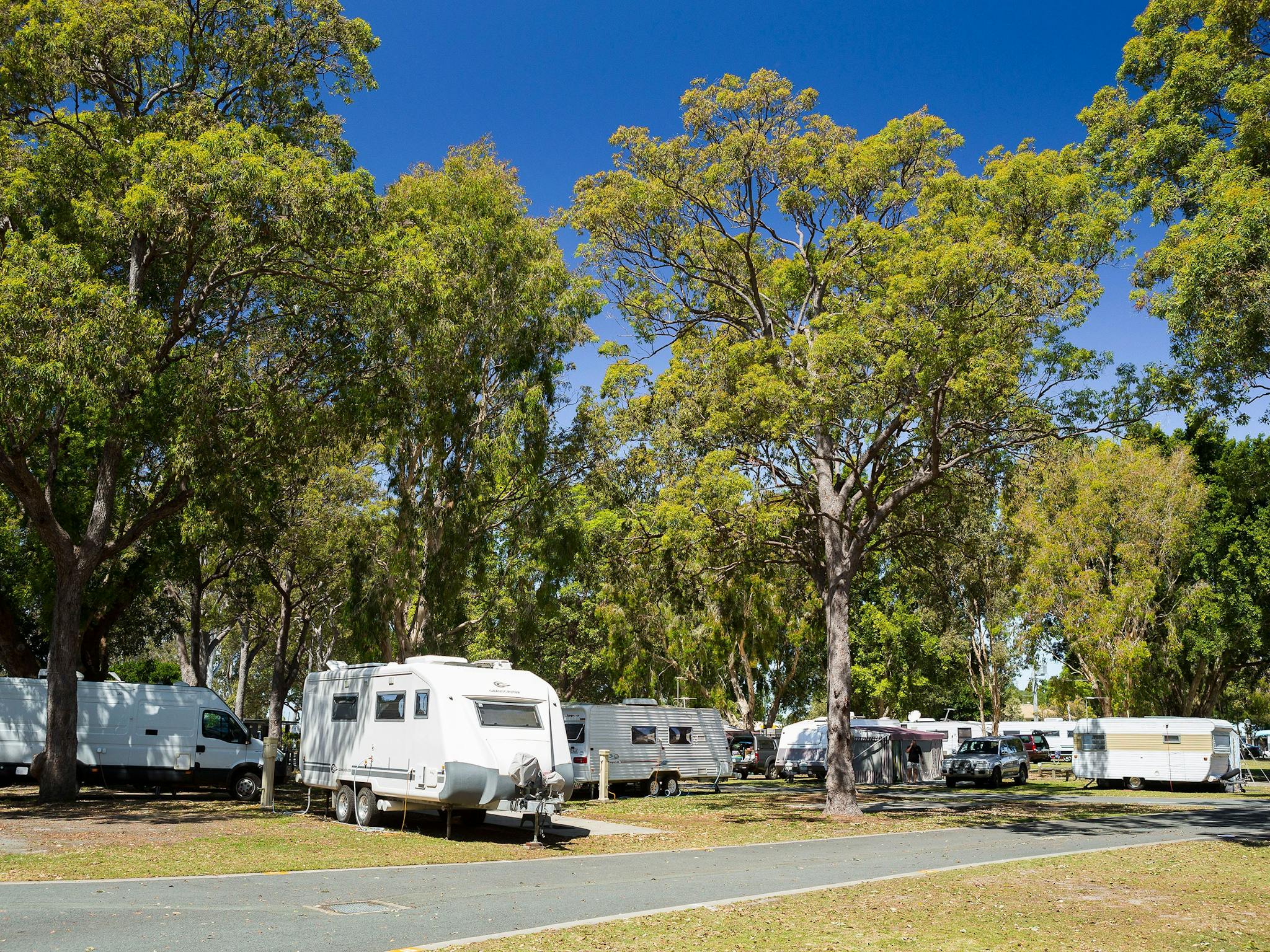 Jacobs Well Tourist Park Jacobs Well Tourist Park