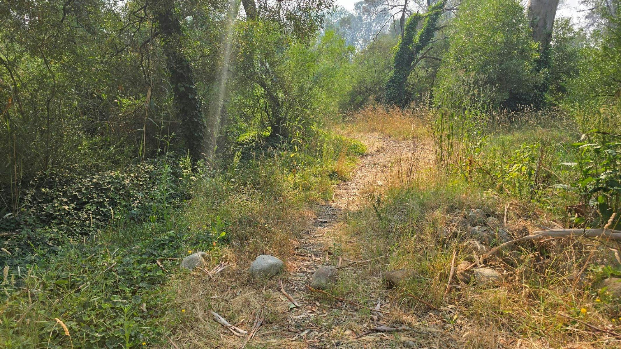 Small gravel trail winding through rocks and grass