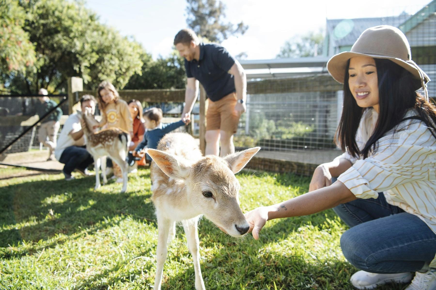 Meet and Greet Encounters at Botanic Gardens Zoo