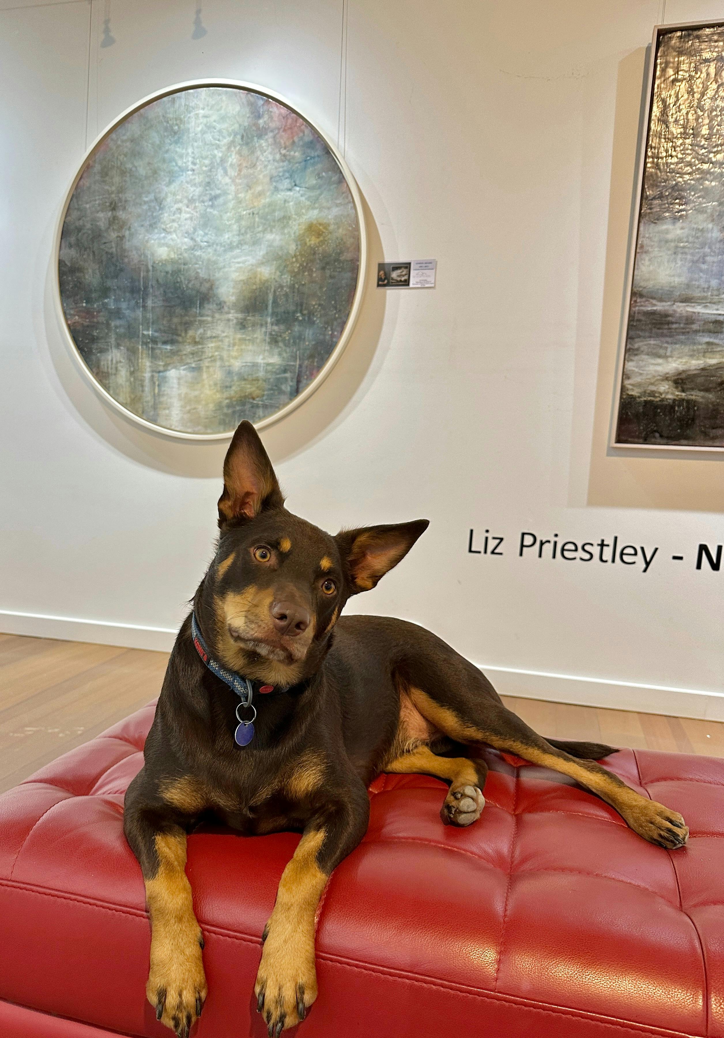 Toto is the gallery assistant at the Milk Factory Gallery