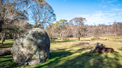 Grassed field at Paling Yards, Bago State Forest