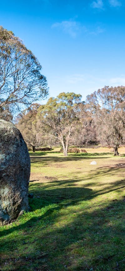 Grassed field at Paling Yards, Bago State Forest