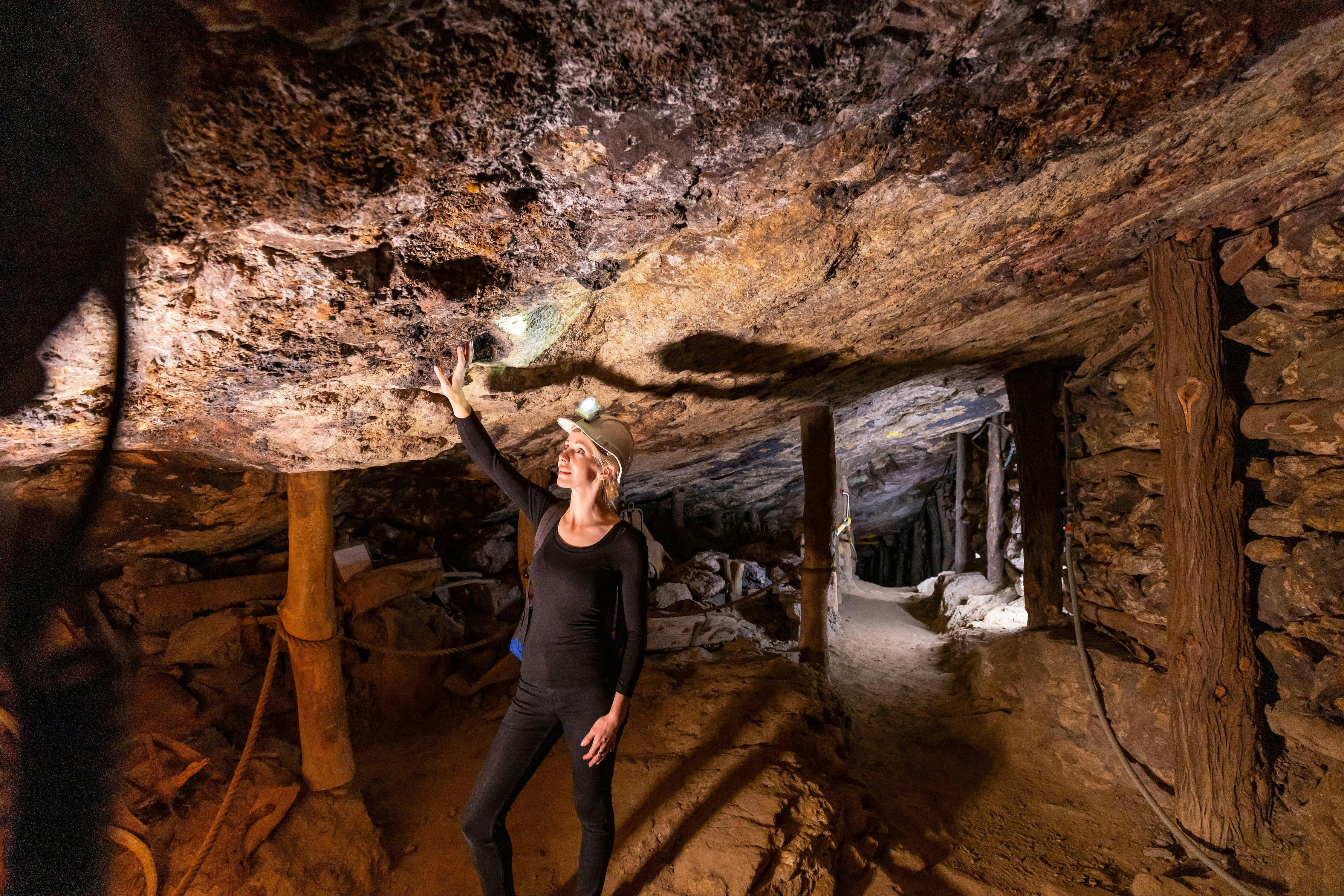 데이 드림 마인 브로큰 힐