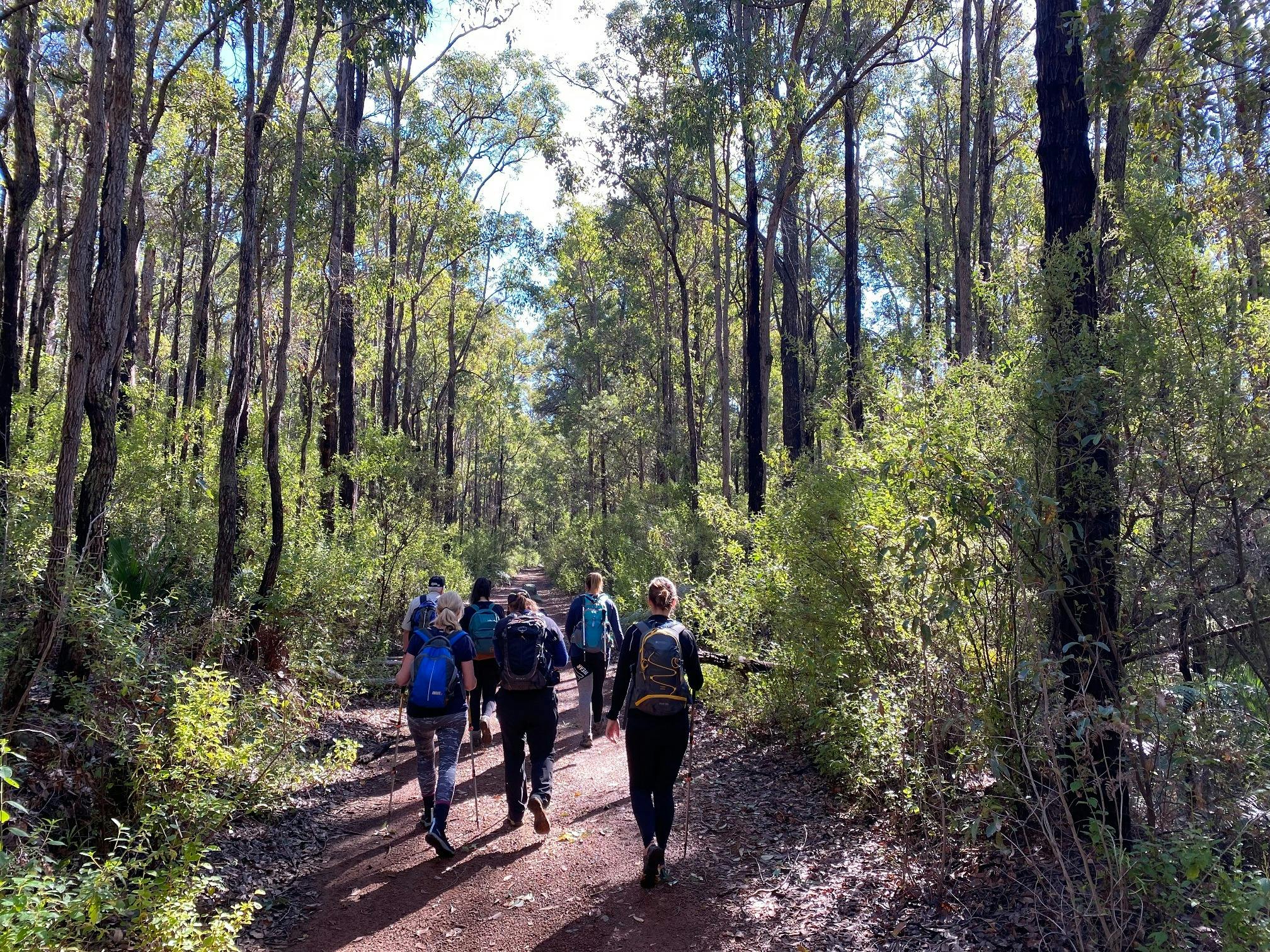 King Jarrah Hiking Experience
