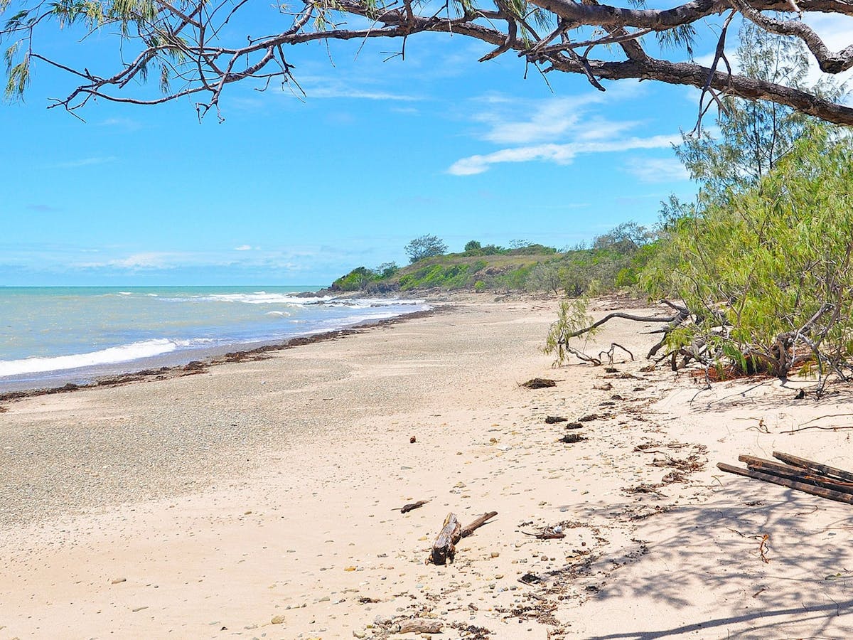 Sandy beach with sheoak trees on the right and ocean on the left.