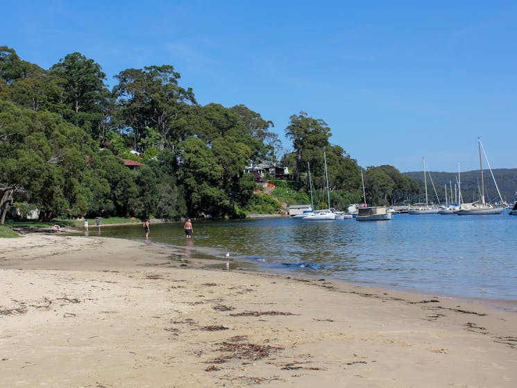 View of Clareville Beach