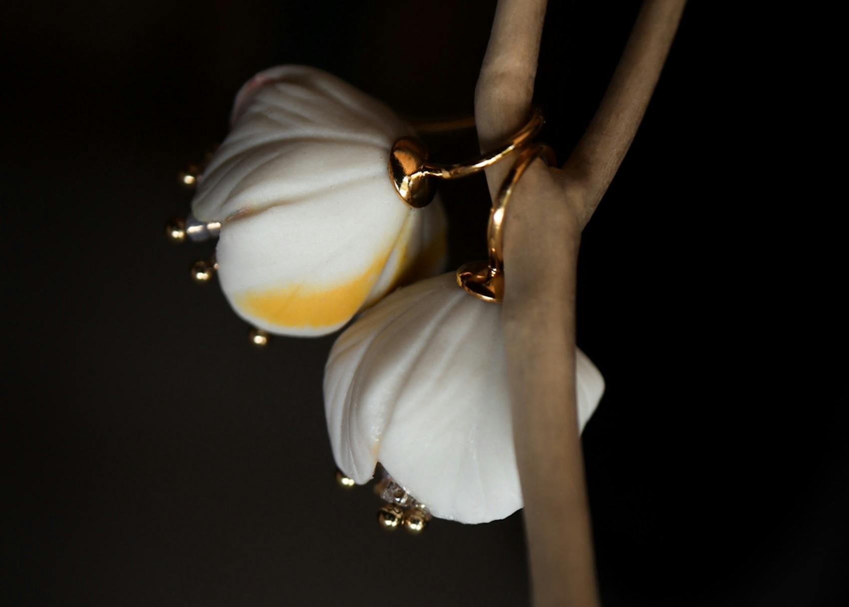 Clay Collective  - Studio 8 Currumbin