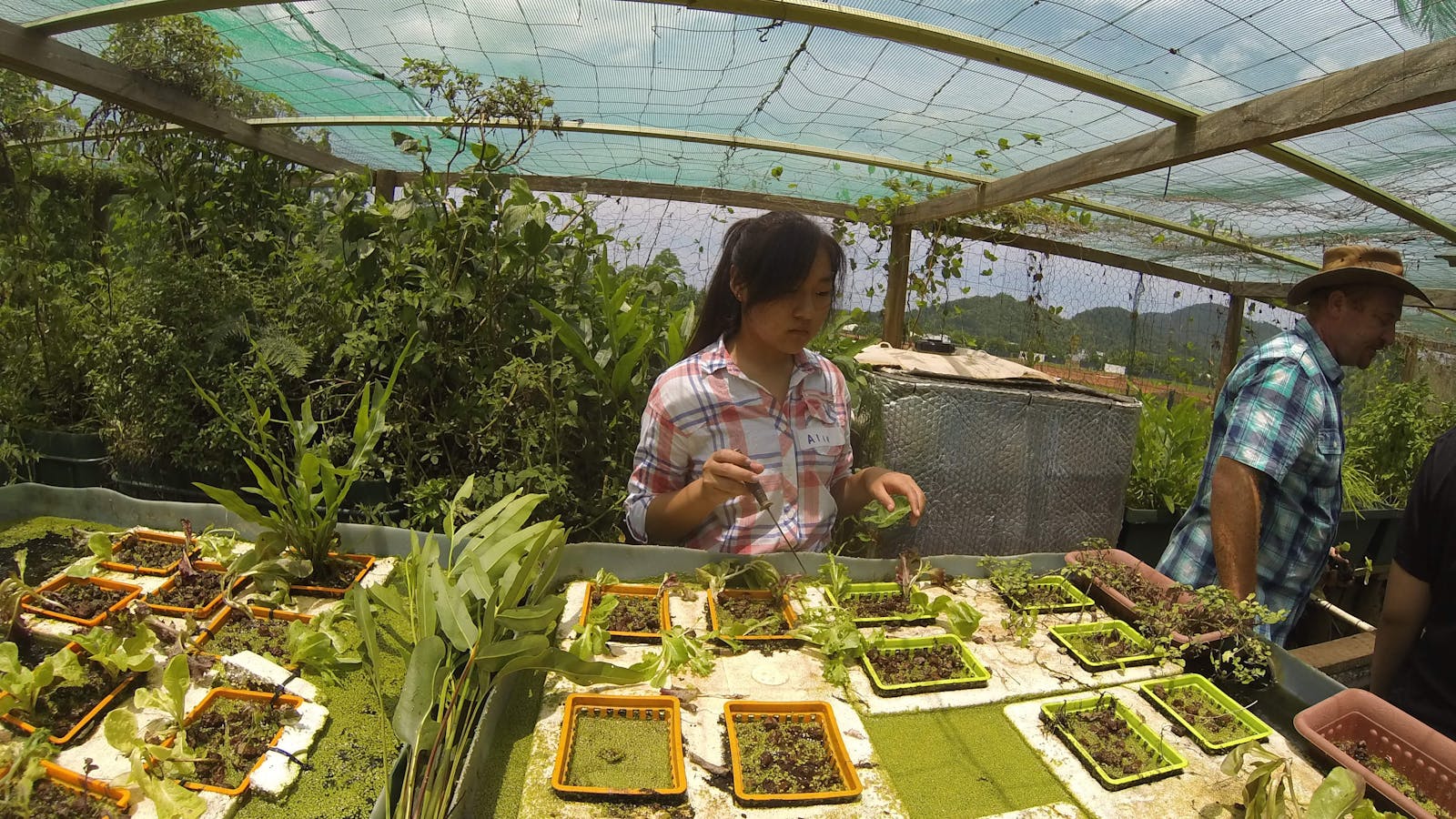 Sustainability student tours in Queensland