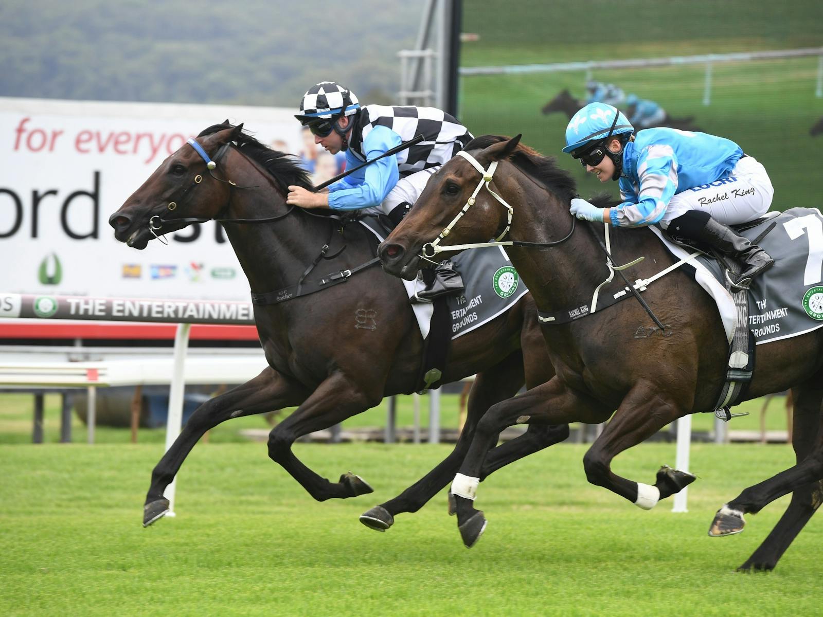 Image for Terrigal Wamberal Rugby League Raceday