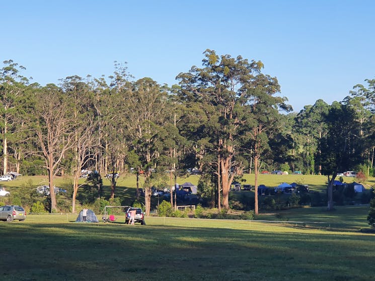 Coffs Harbour Camping