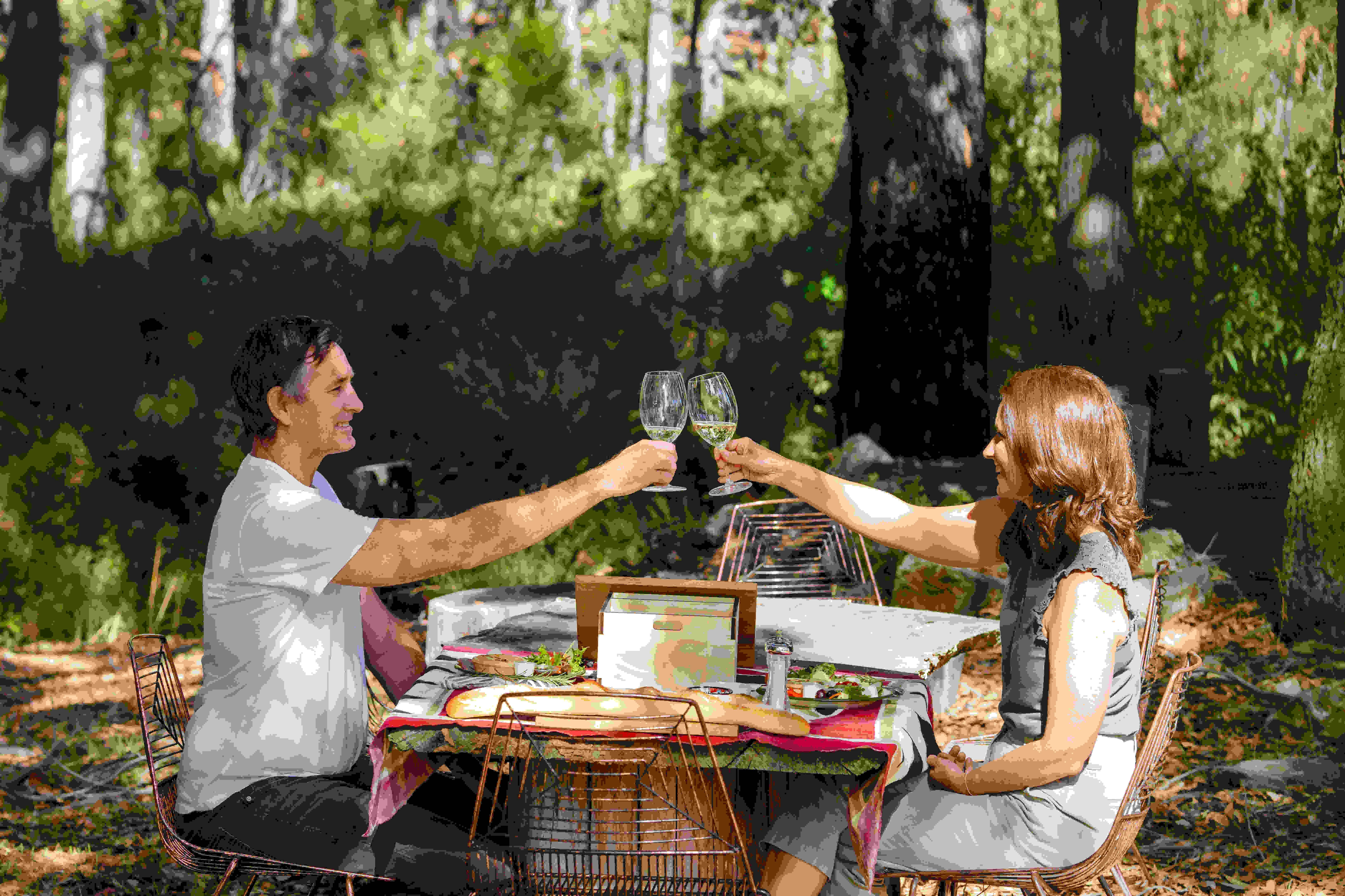 Gourmet picnic lunch