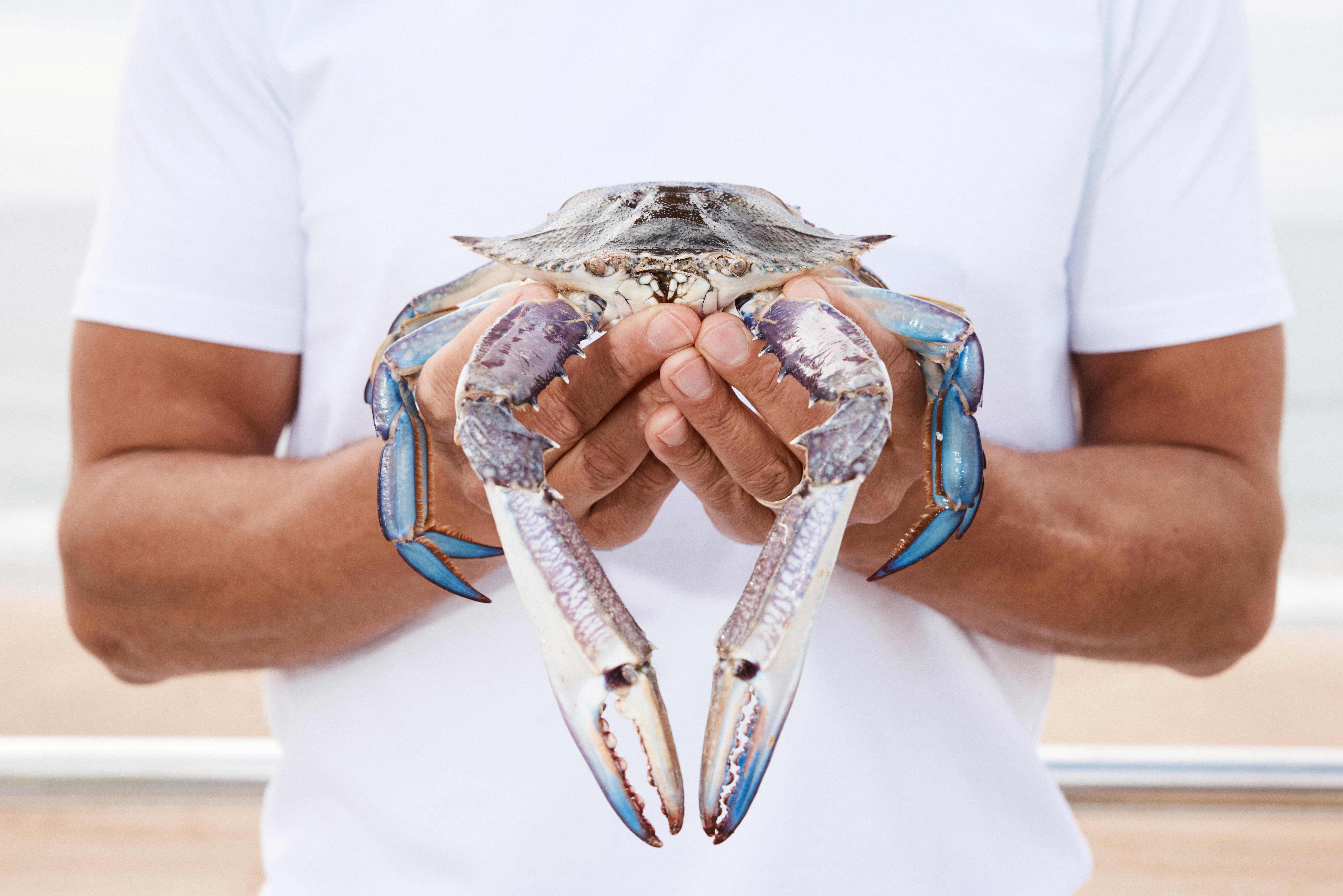 The Boathouse North Wollongong Bar and Bistro