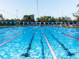 Jabiru Aberto Luglietti Swimming Pool