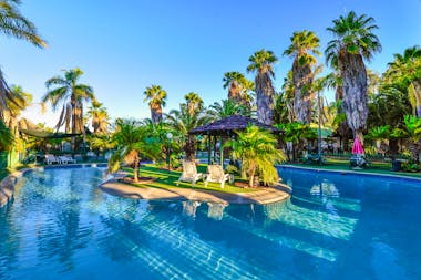 Desert Palms Alice Springs