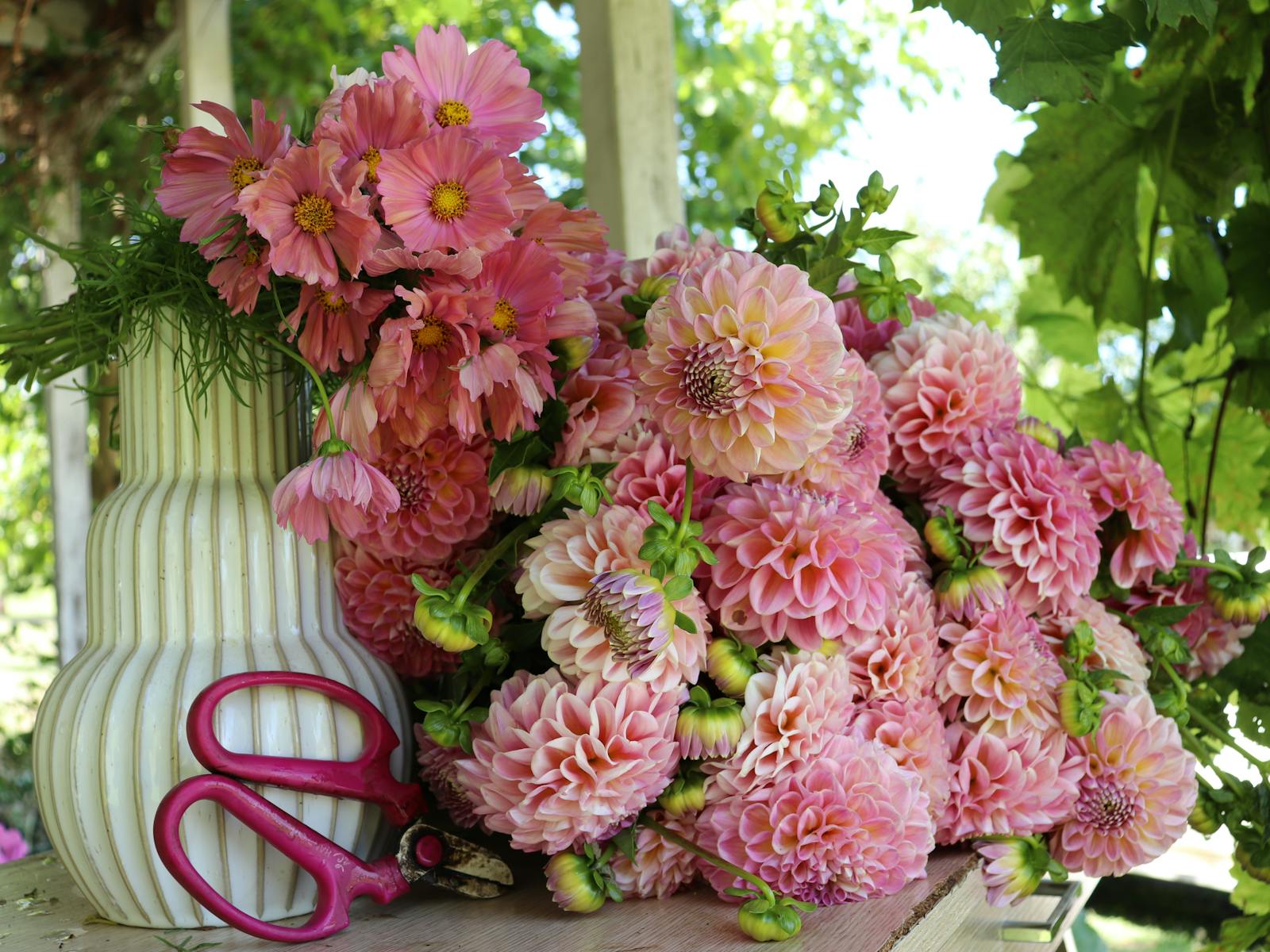 Image for Brunch Among the Blooms