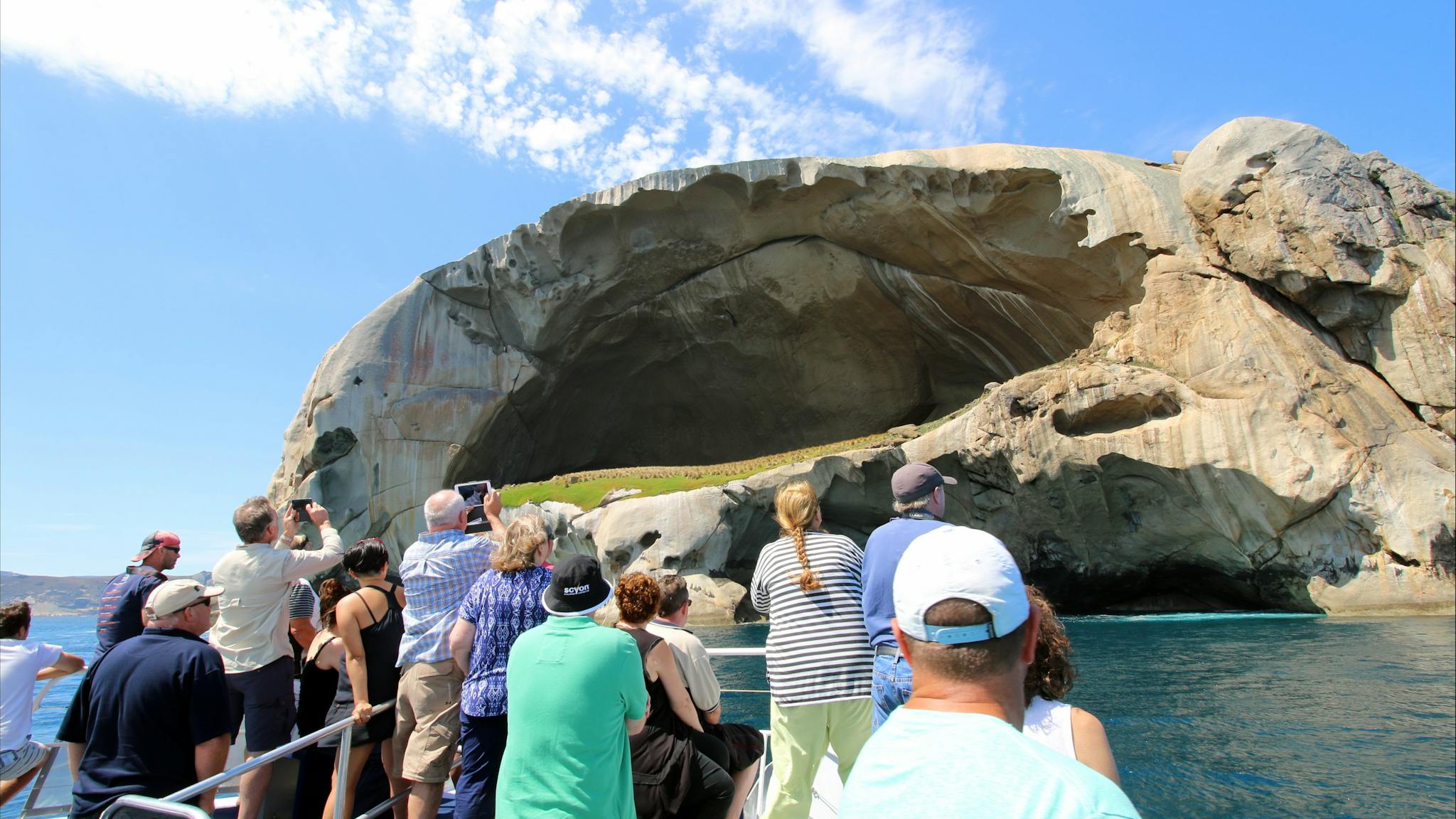 Wildlife Coast Cruises