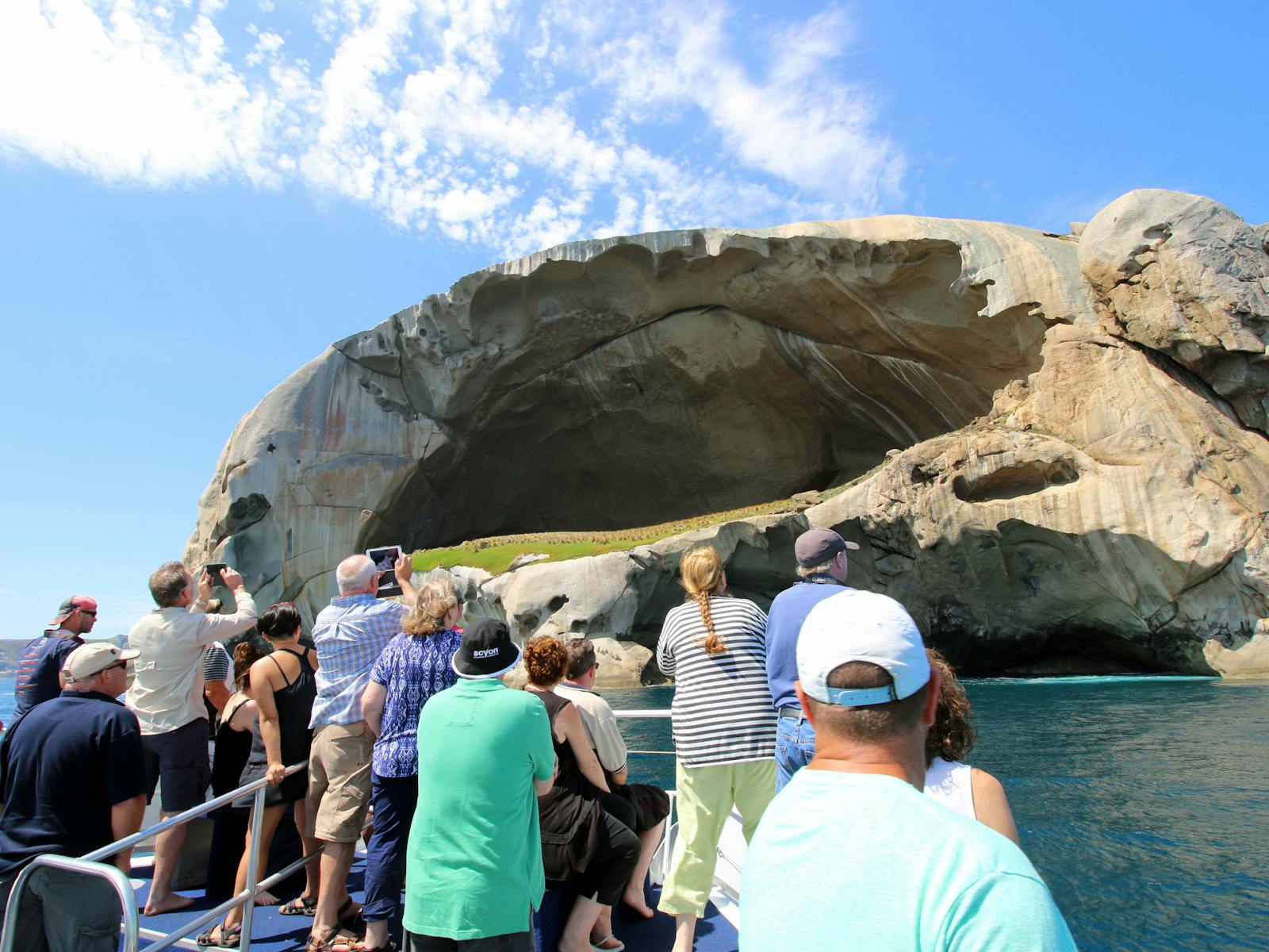 Wildlife Coast Cruises