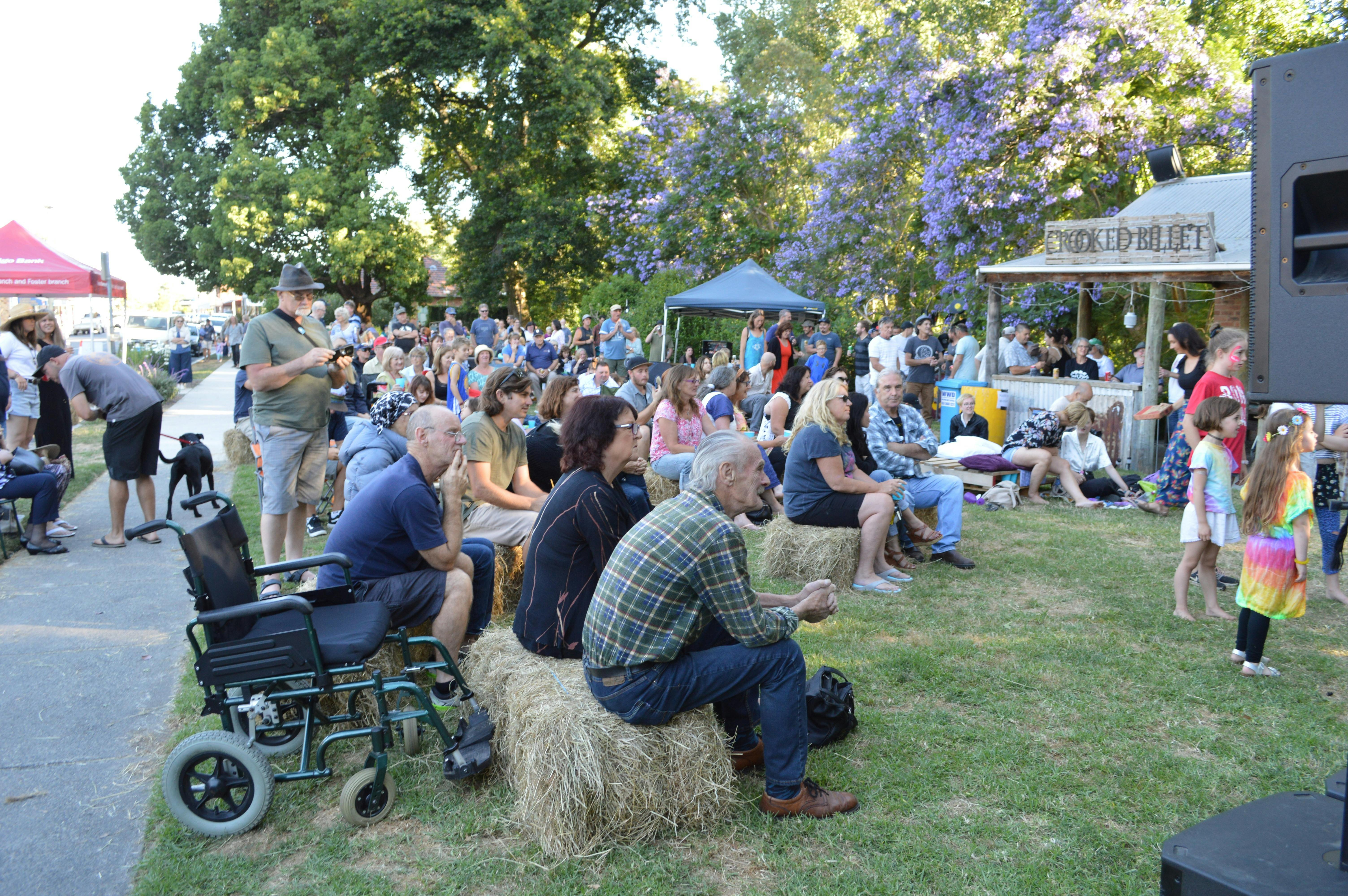 Pearl Park Music Festival