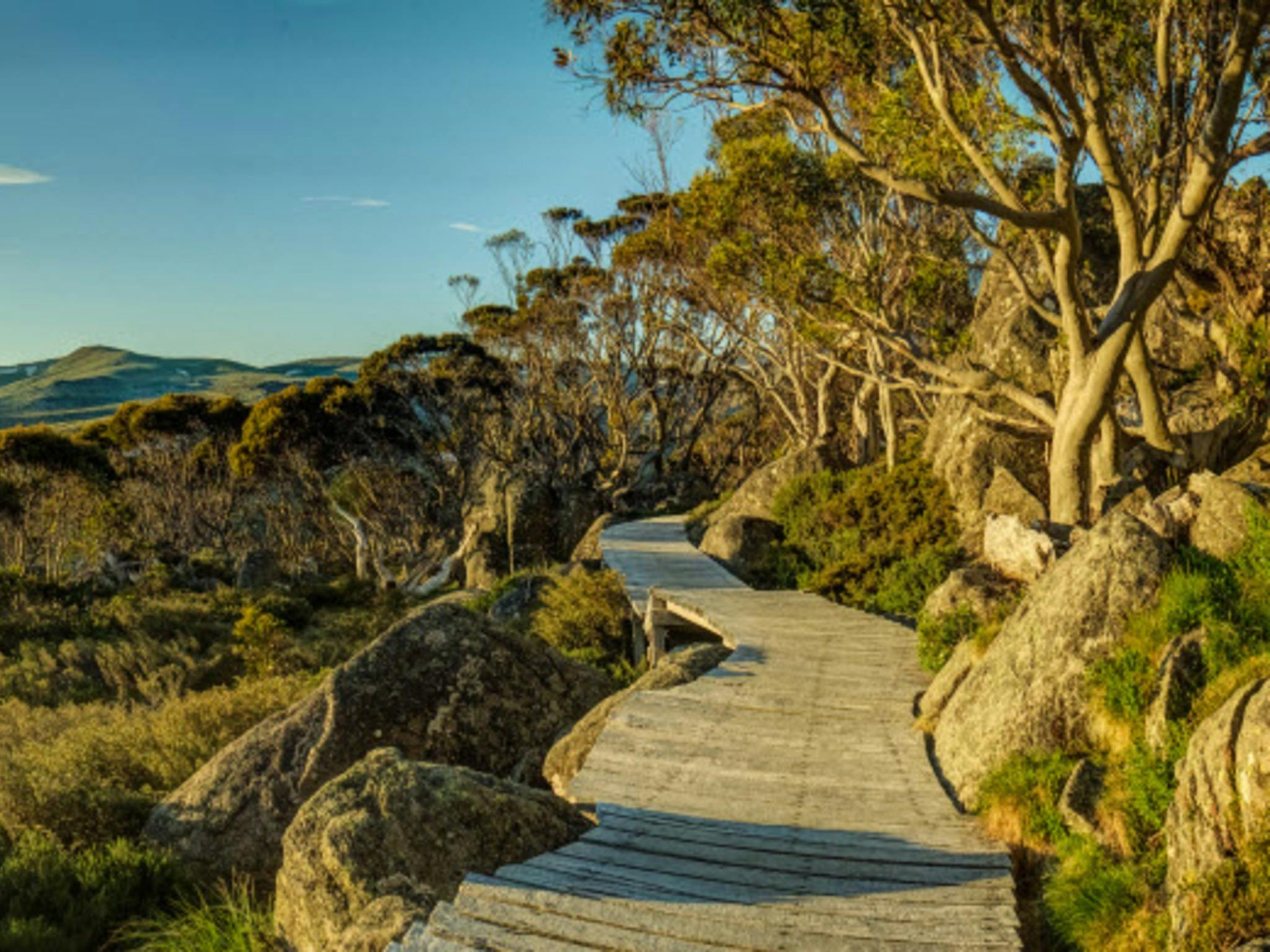 눈 덮인 산책로