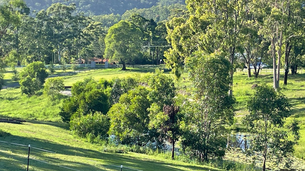Surrounding Area