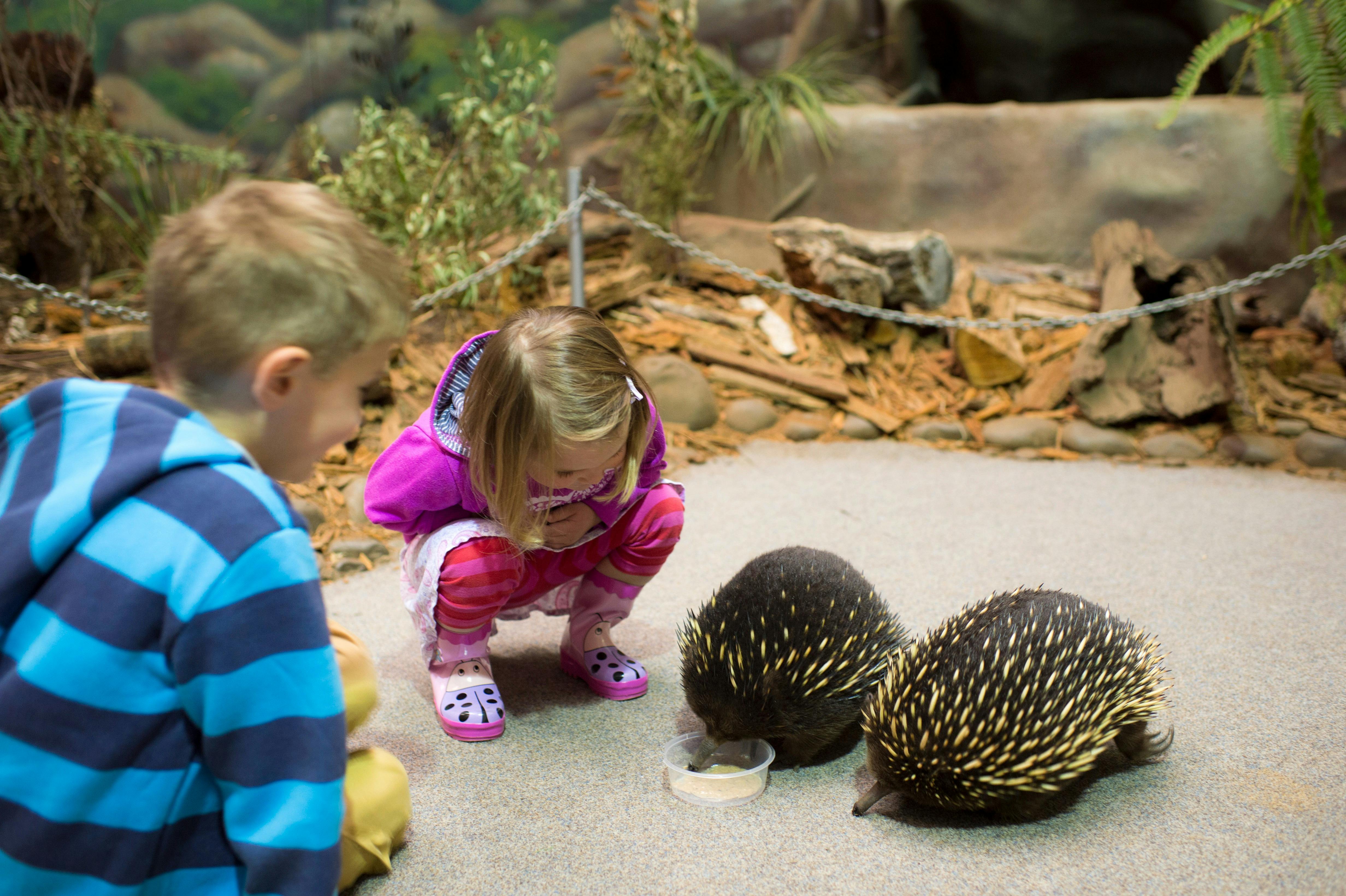 Children with echidnas