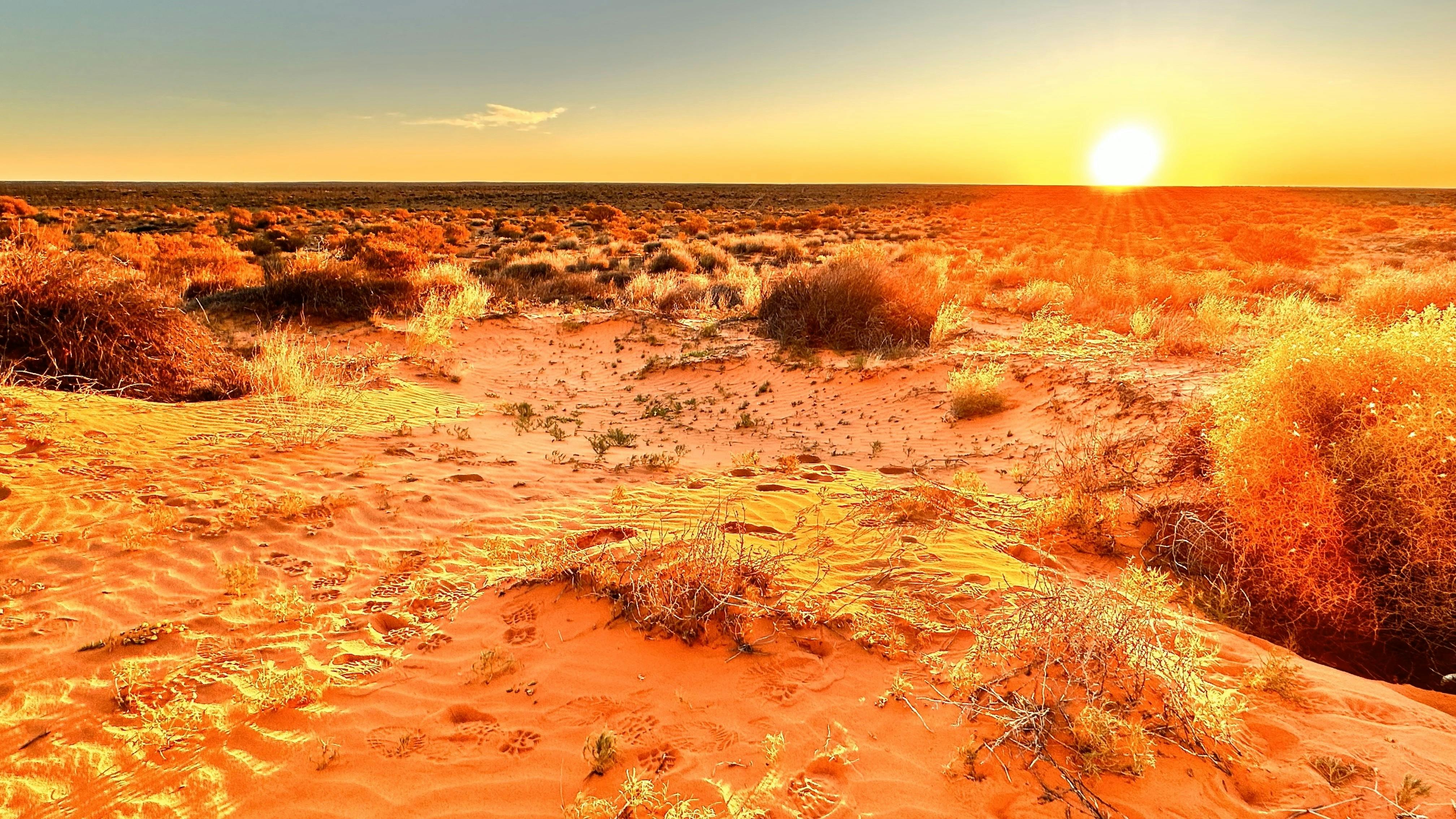 Sunset in the Simpson Desert