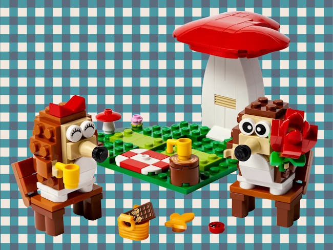 hedgehog lego build with picnic check backgroun
