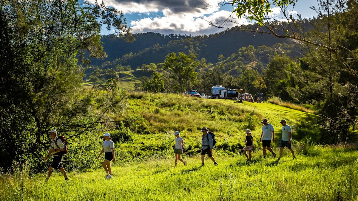Group walking along Kerry Valley Secret tracks. Find ancient grass trees and an historical grave.