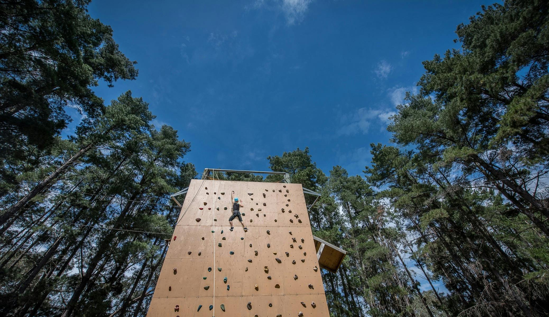 person climbing an artificial rock wall