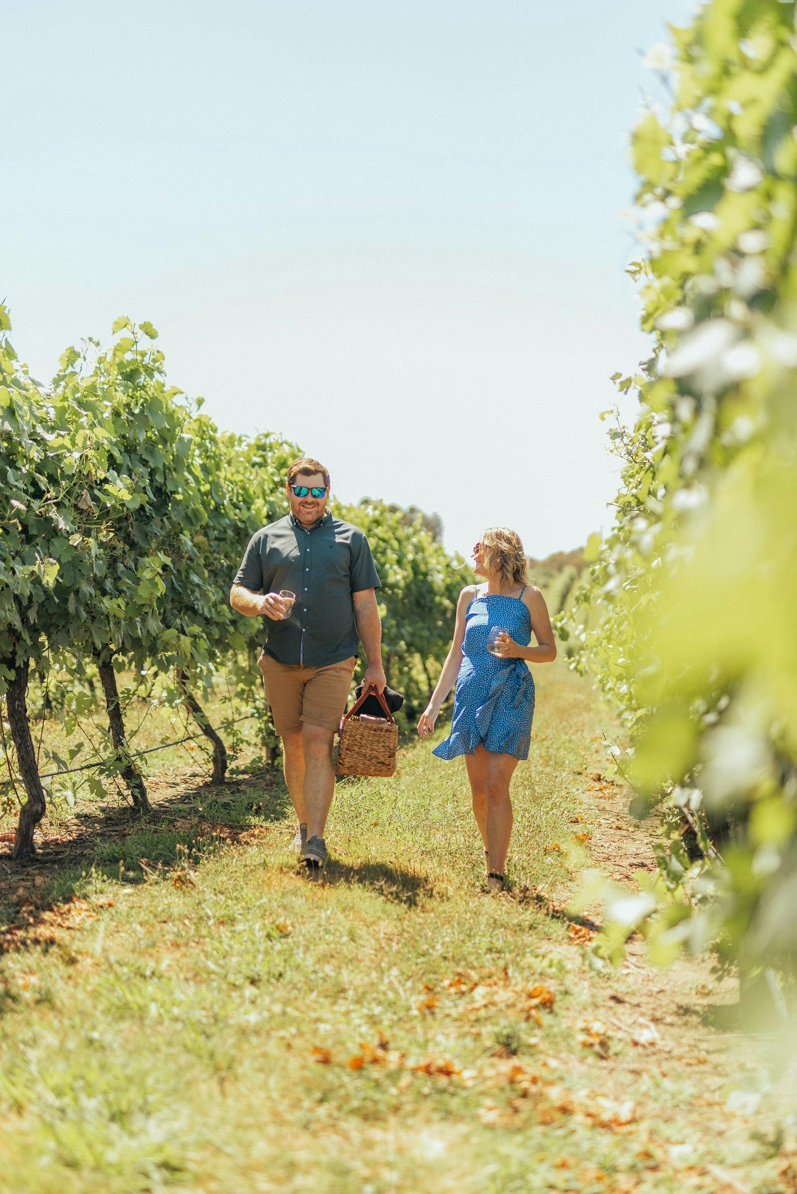 Walking in Courabyra Vineyard