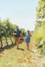 Walking in Courabyra Vineyard