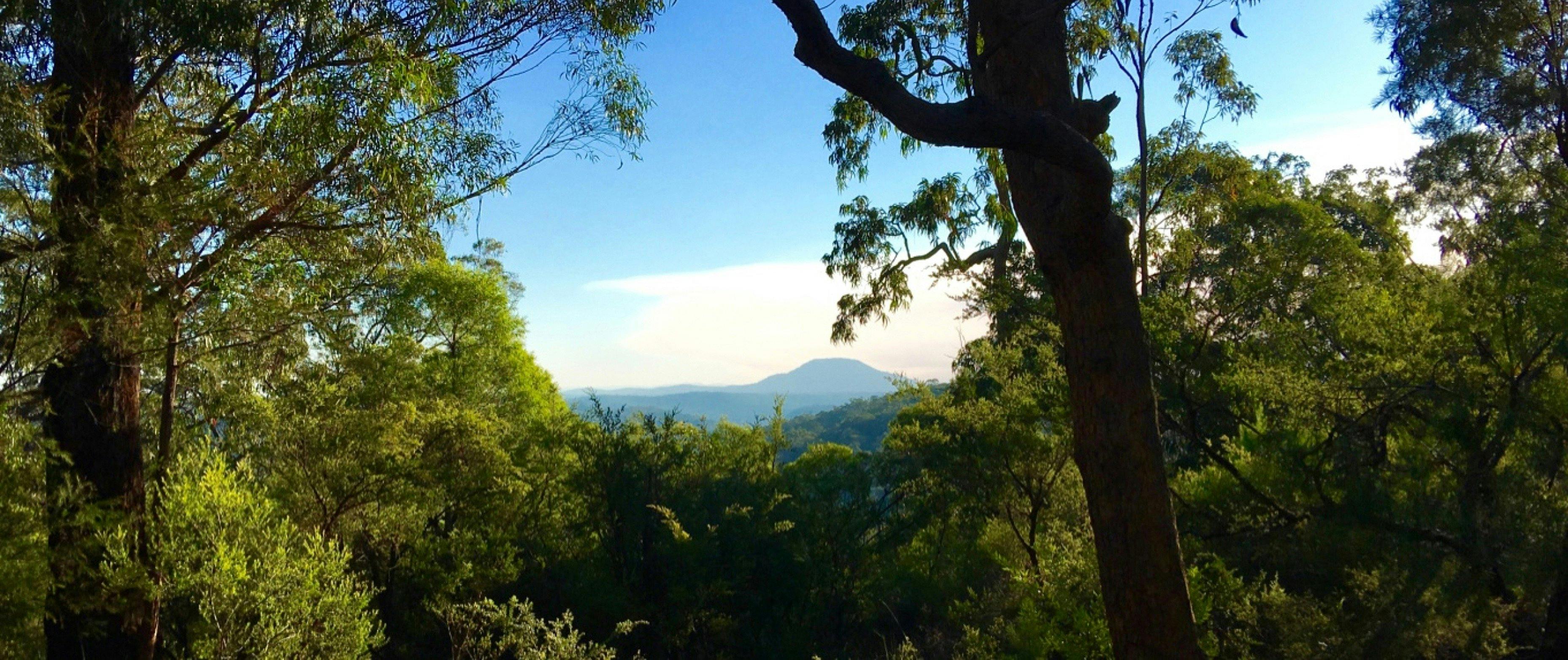 Yengo Aboriginal Tour