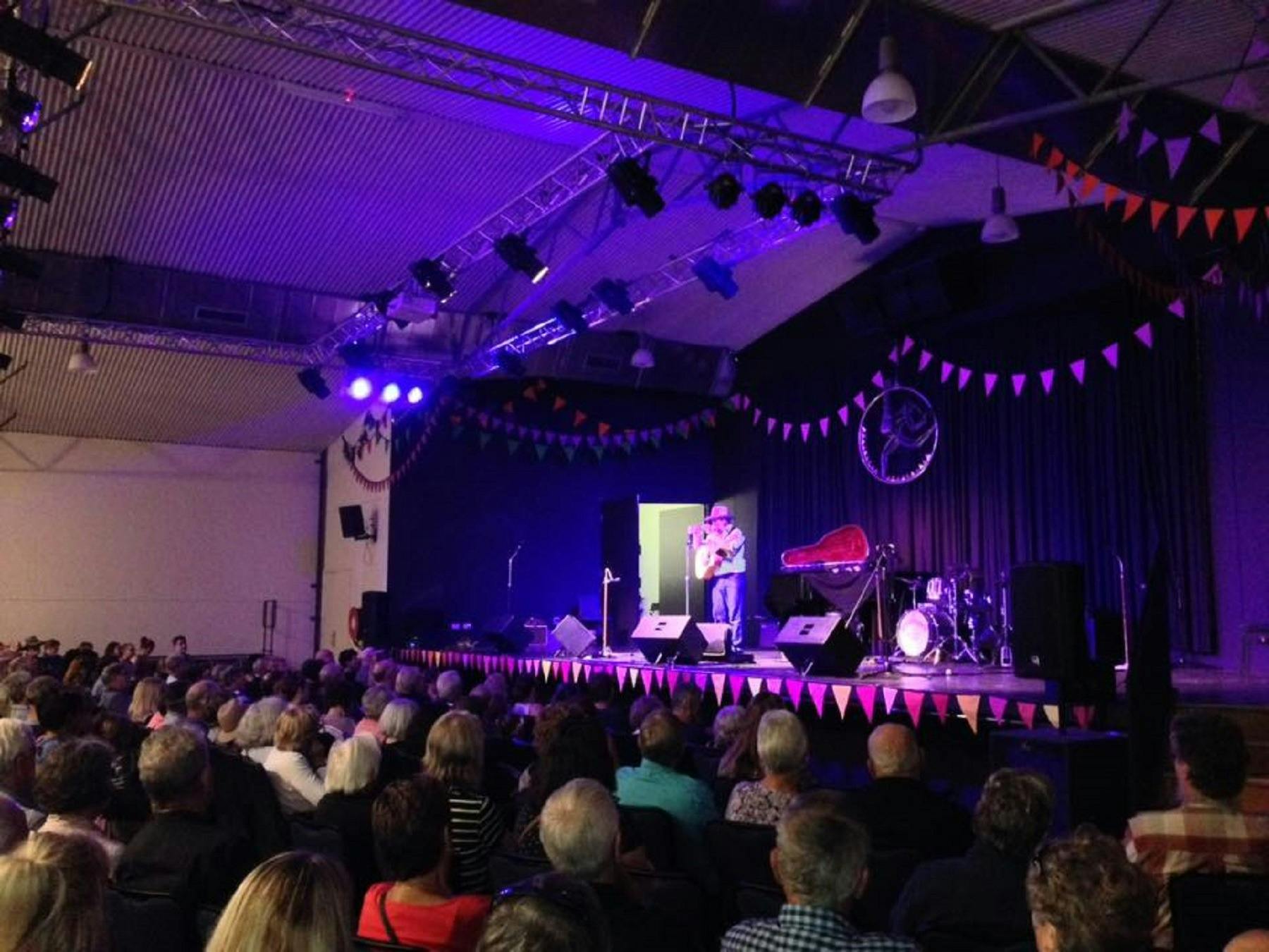 Pete Denahy performing Yackandandah Folk Festival