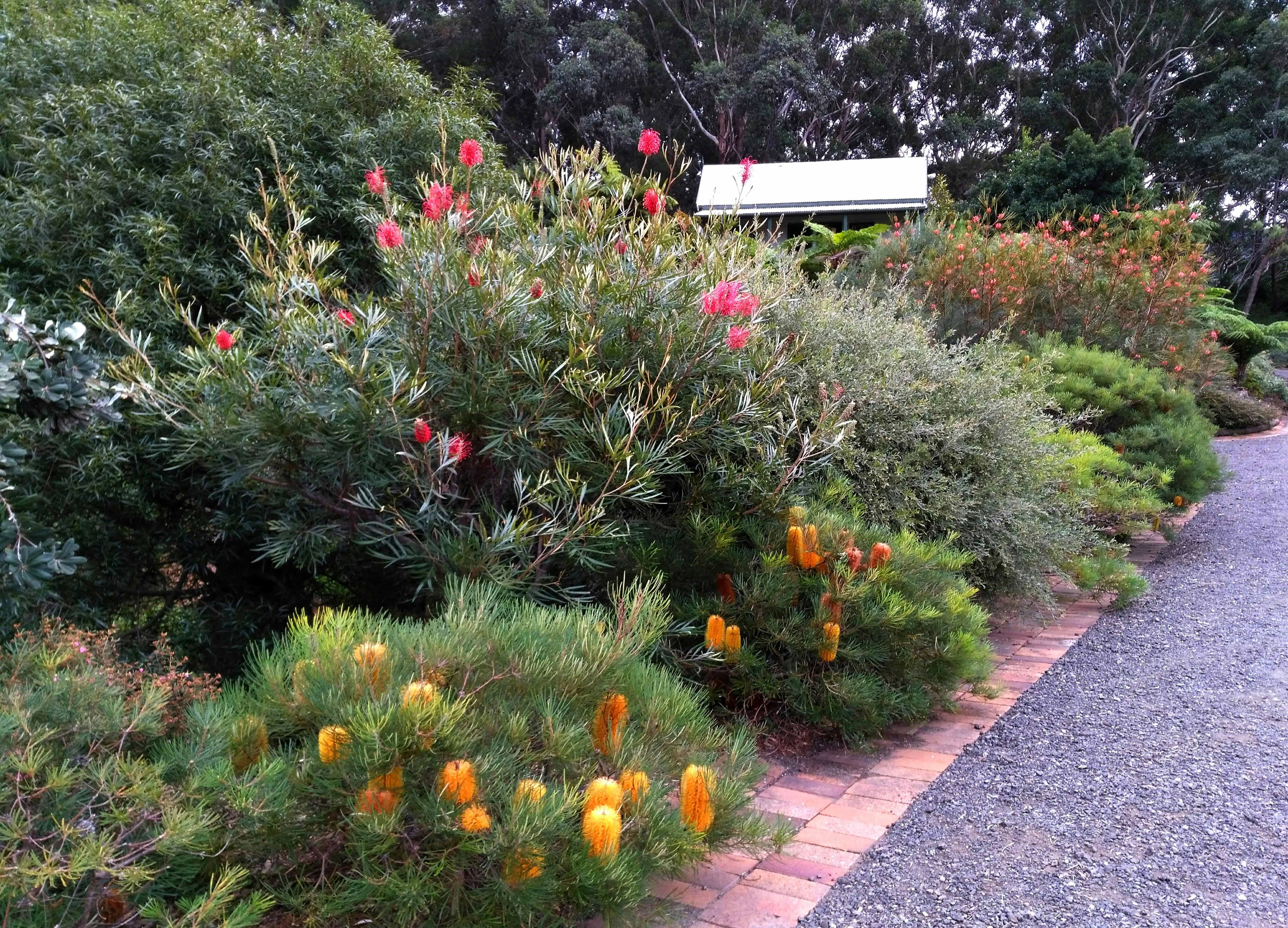 Display gardens looking toward the Chapel