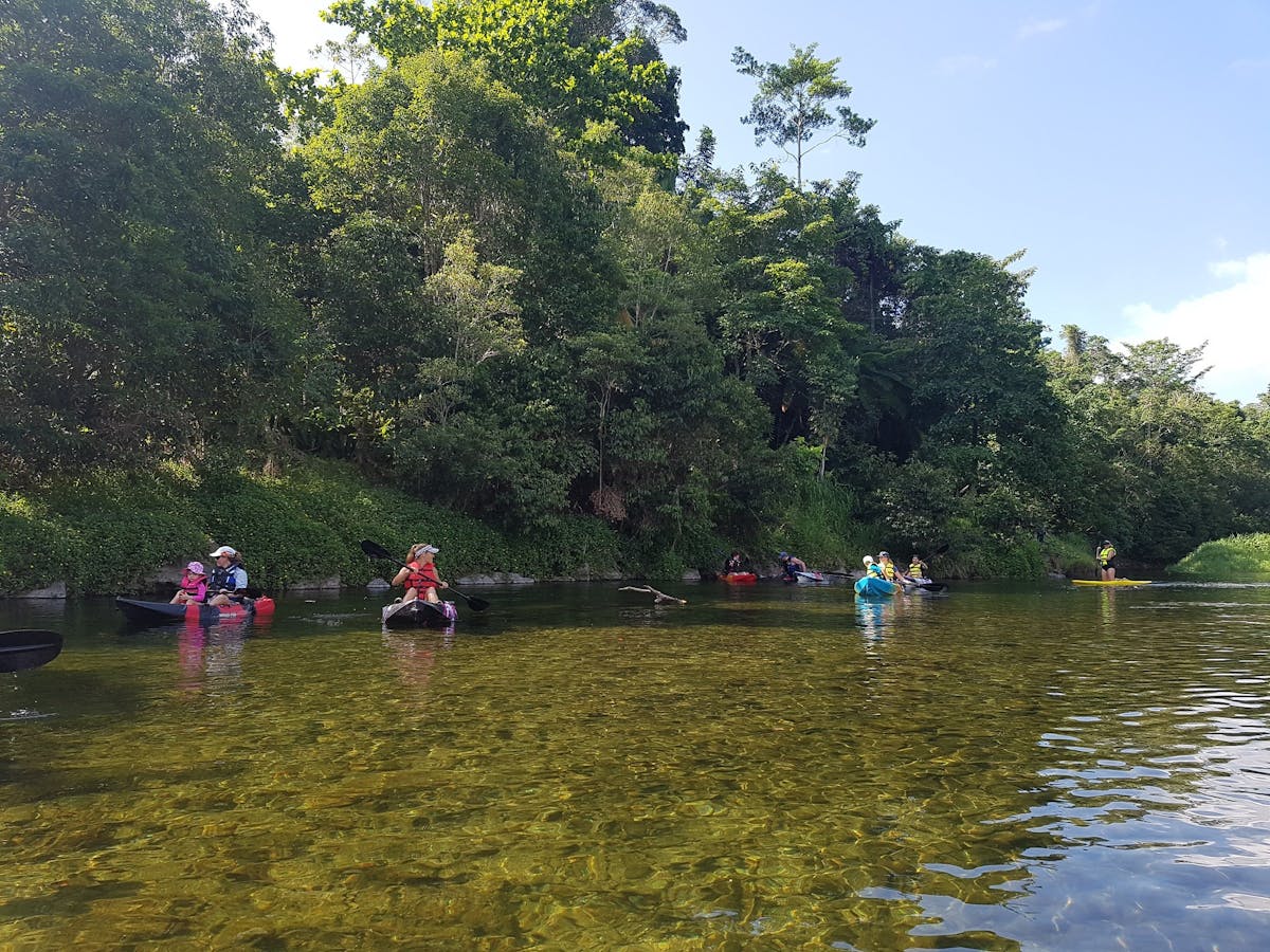 Babinda Kayaking and SUPs